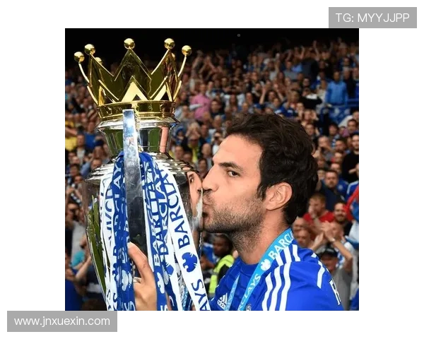 足球明星法布雷加斯的辉煌职业生涯与对足球的热爱故事